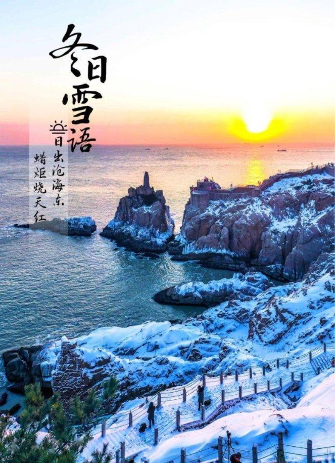 狐狸的旅程