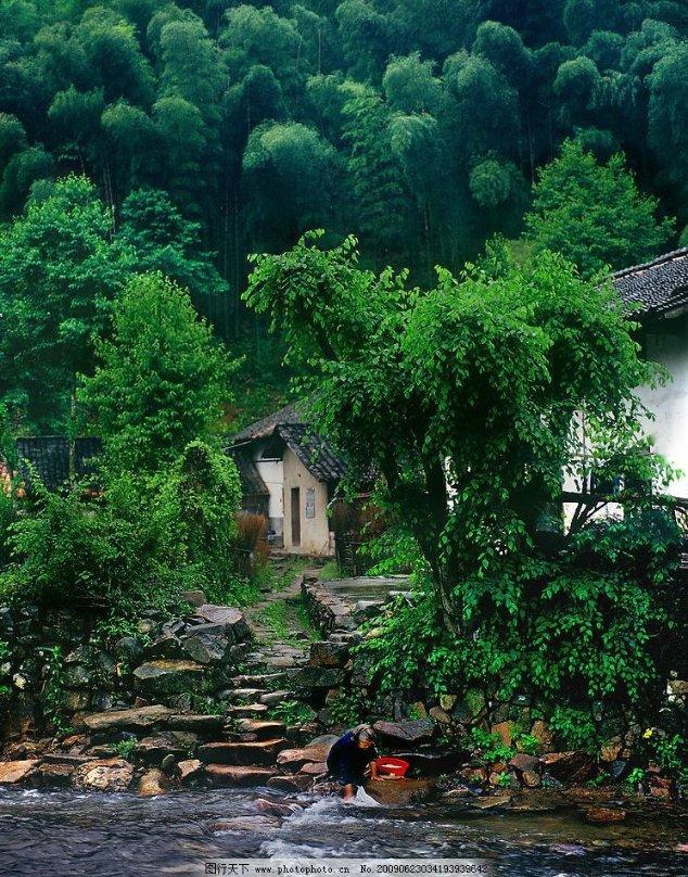 逃离变色龙森林
