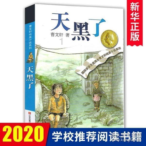 救援修女