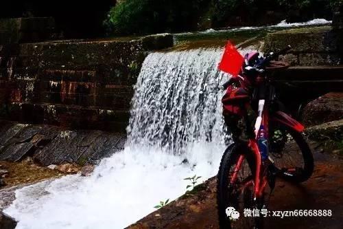 人工种楂桑黄包回收是真的吗?