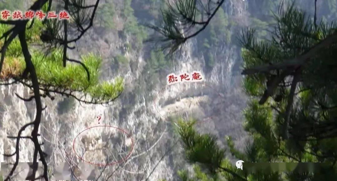 桔梗为什么被称作“诸药之舟楫”，原来它的功效不止是祛痰止咳