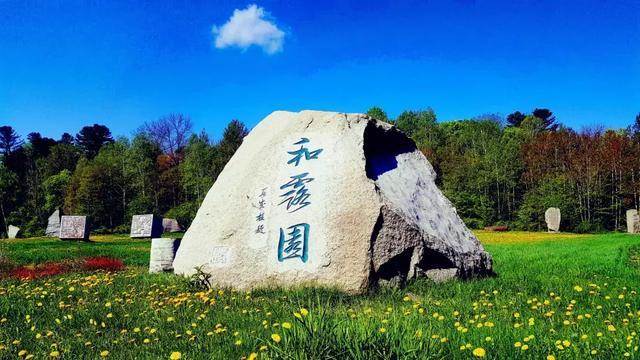 逗小猴开心系列170