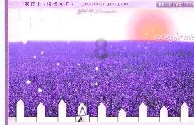 大丛林度假村逃生