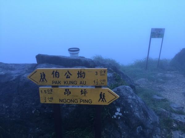 回首往事，爱意如初