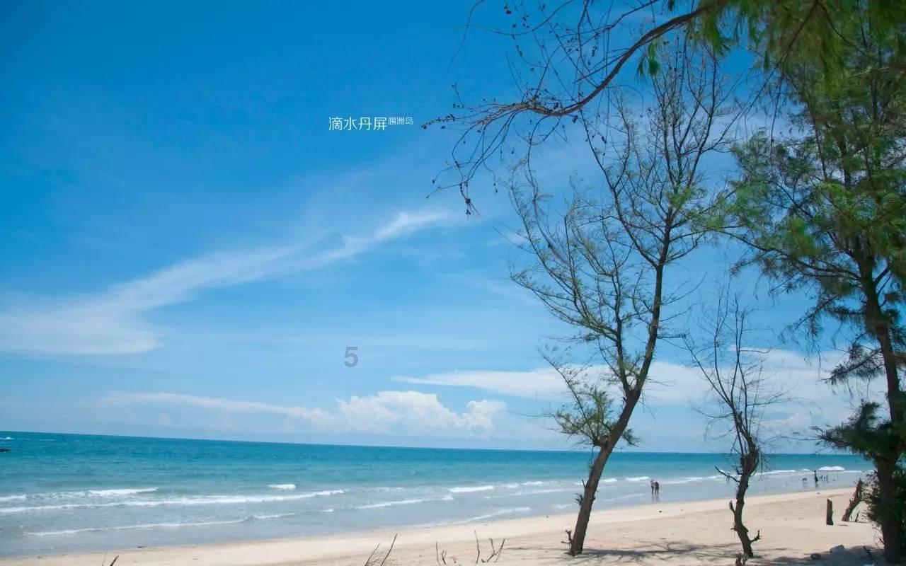 你能逃离此地吗