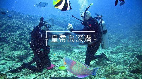 攀登高峰无敌版