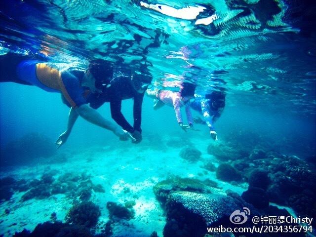 dzzit中文读法-专业问答网站