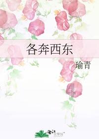 隐形的翅膀创作背景游戏画面