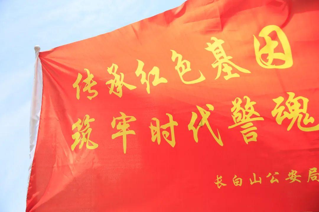 小猫钓鱼开船版最新版下载