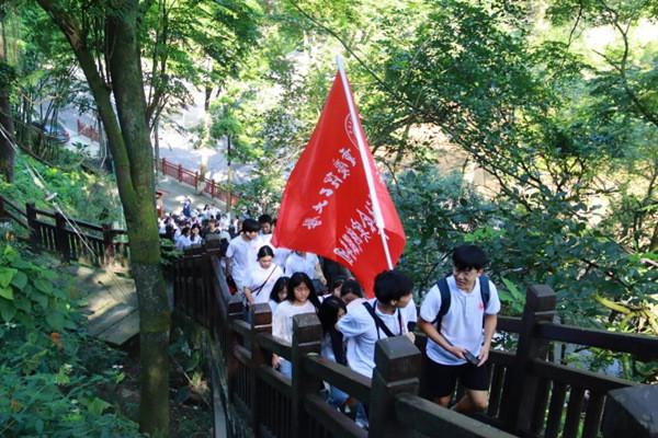 银河中动物逃生