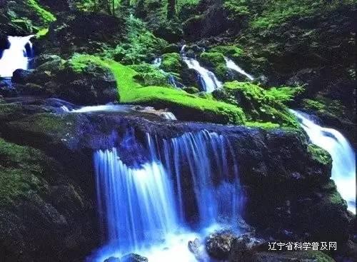 简淡凝练,清新脱俗|法常大师画作欣赏