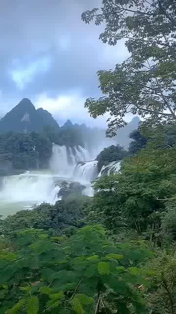 探索是不是一切事物达到极点,都会物极必反?的知识星球,尽显学习与分享的魅力