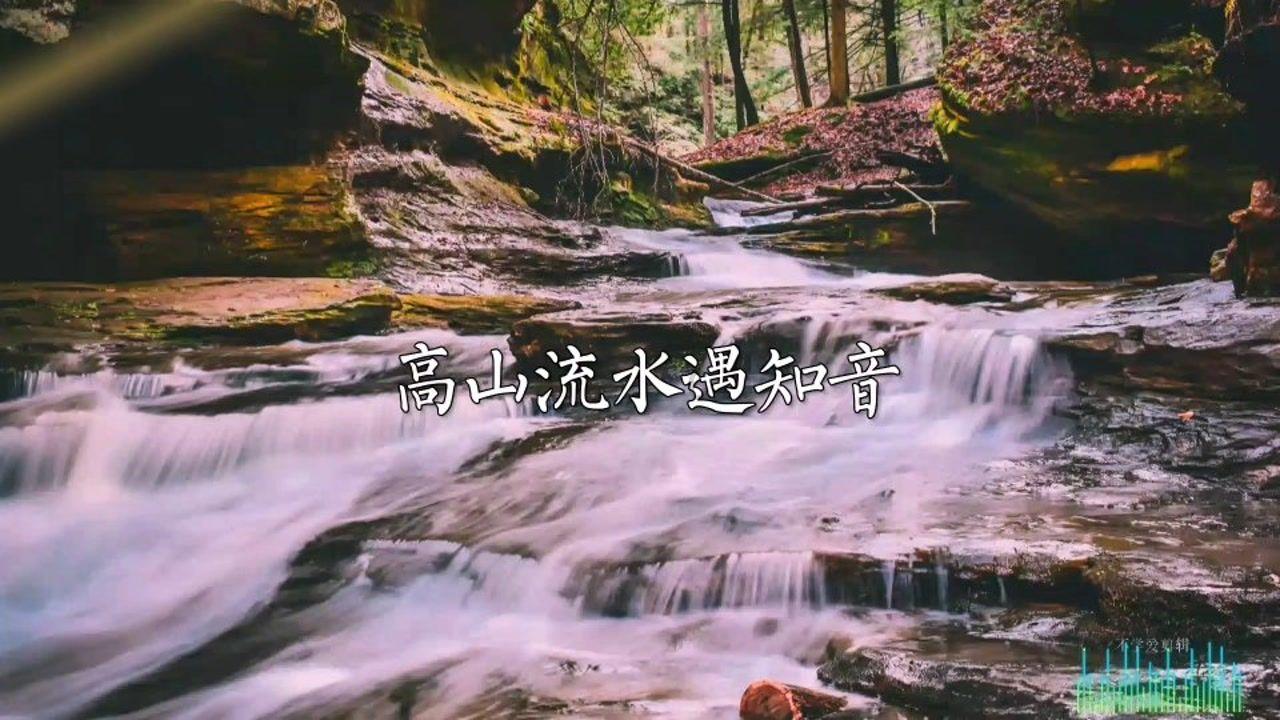 Lisa因伤取消演唱会钢管舞表演，对现场粉丝来说是遗憾吗？游戏画面