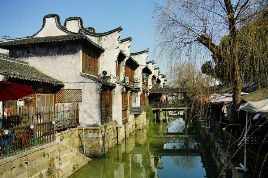 恐龙是怎么繁殖游戏画面