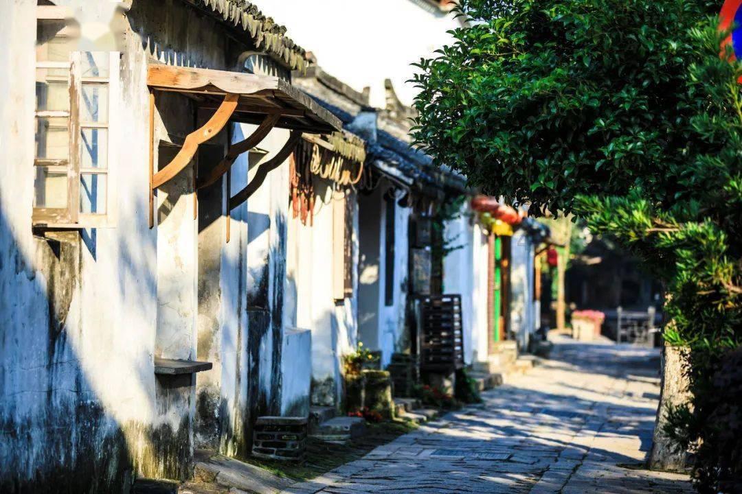 逃离制药厂