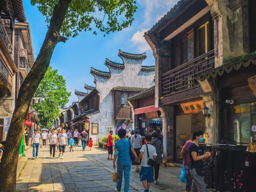 儿子拒不还款,父母阻碍执行,一家三口被处罚