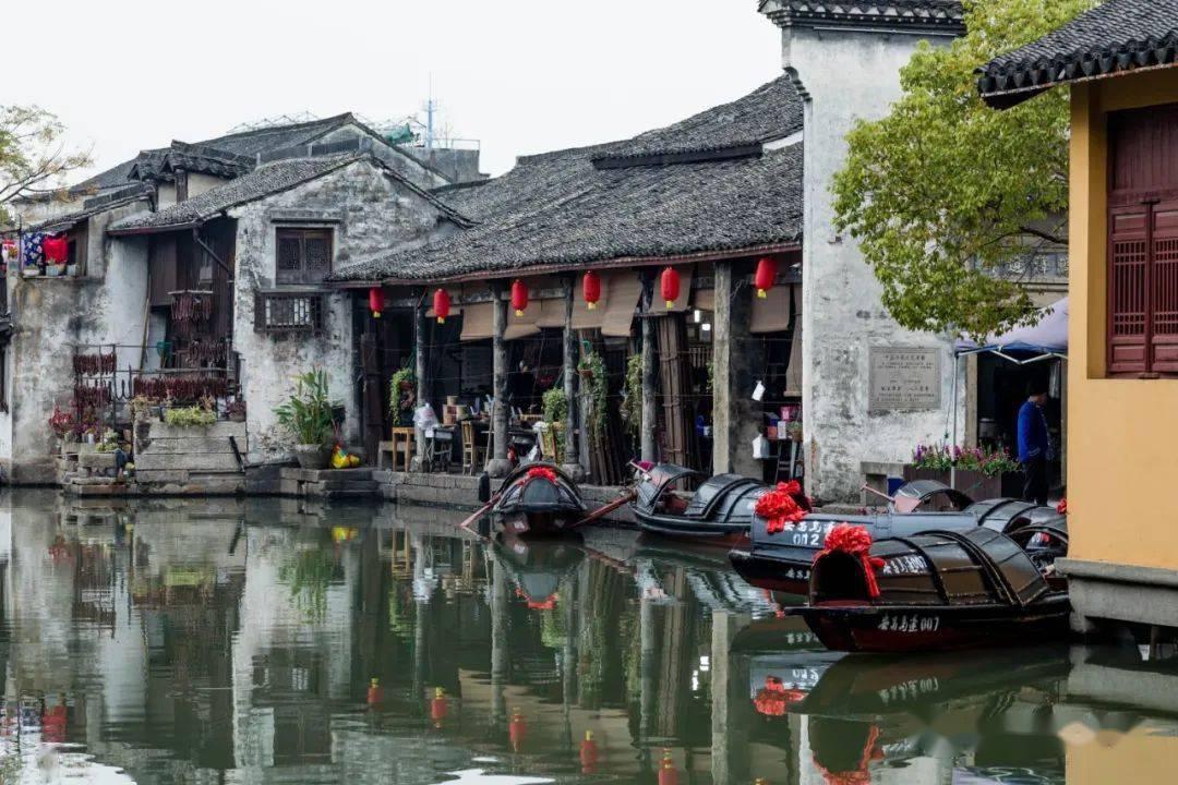 动物帮帮忙保卫家园