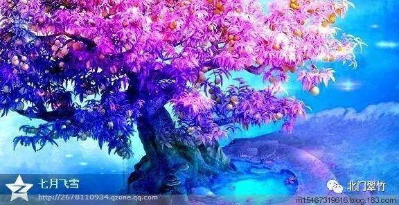 青海供销系统综合实力稳步提升