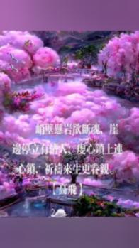 小猫钓鱼开船版最新版下载
